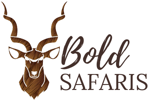Hunting | South African Safaris | Professional Hunting | Bold Safaris