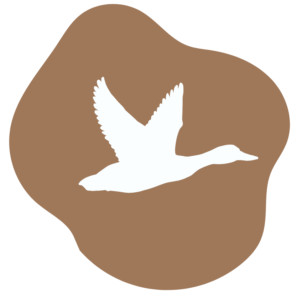 Hunting | South African Safaris | Professional Hunting | Bold Safaris