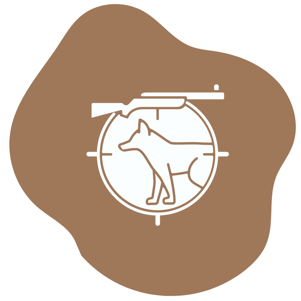 Hunting | South African Safaris | Professional Hunting | Bold Safaris